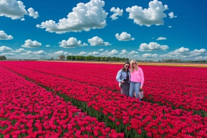 Amsterdam: Excursión de un Día a los Campos de Tulipanes con Almuerzo y Molino de Viento