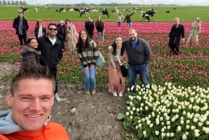 Amsterdam: Excursión de un Día a los Campos de Tulipanes con Almuerzo y Molino de Viento