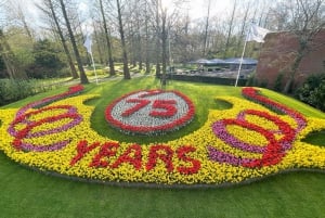 Amsterdam: Tulips & Windmill - Full day PRIVATE tour by car