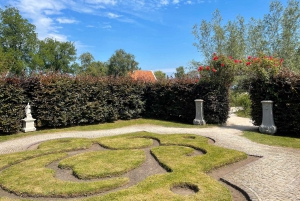 Amsterdam: Tulips & Windmill - Full day PRIVATE tour by car