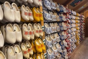 Amsterdam: Tulips & Windmill - Full day PRIVATE tour by car