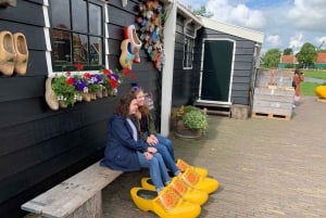 Amsterdam: Tulips & Windmill - Full day PRIVATE tour by car