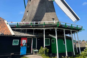 Amsterdam: Tulipany i wiatrak - całodniowa PRYWATNA wycieczka samochodem