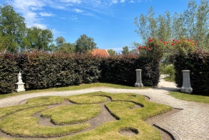 Amsterdam: Tulipany i wiatrak - całodniowa PRYWATNA wycieczka samochodem