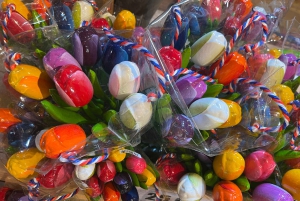 Amsterdam: Tulipany i wiatrak - całodniowa PRYWATNA wycieczka samochodem