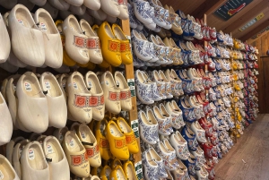 Amsterdam: Tulipany i wiatrak - całodniowa PRYWATNA wycieczka samochodem