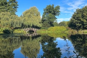 Amsterdam: Ultimate City Park Tour