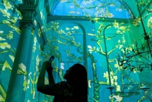 Amsterdam: Van Gogh and Rembrandt Immersive Experience Entry