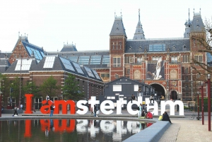 Amsterdam: Van Gogh Museum Entry and Guided Tour