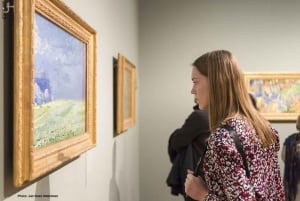 Amsterdam: Van Gogh Museum Guided Tour with Entry