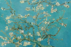 Amsterdam: Van Gogh Museum Guided Tour with Entry