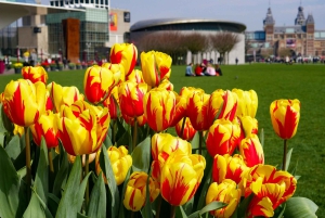 Amsterdam: Van Gogh Museum Entry Ticket & Guided Tour