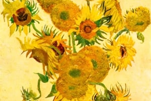 Visita guiada al Museo Van Gogh de Ámsterdam con entradas incluidas