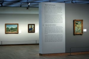 Van Gogh Museum Private Guided Tour