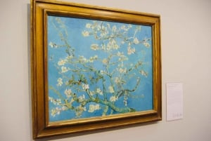 Amsterdam: Van Gogh Museum Small Group Guided Tour