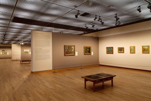 Amsterdam: Van Gogh Museum Ticket and City Canal Cruise
