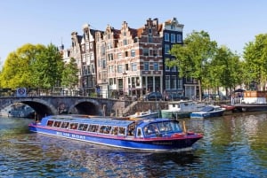 Amsterdam: Van Gogh Museum Ticket and City Canal Cruise