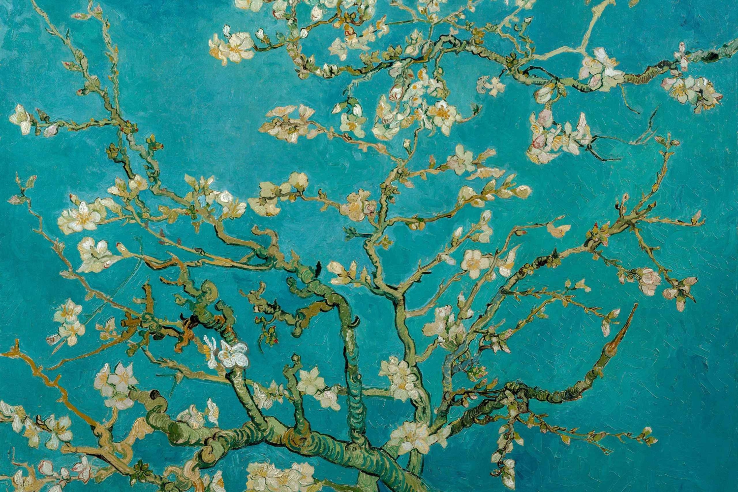 Amsterdam: Van Gogh Museum Ticket & Canal Cruise: Van Gogh Museum Ticket & Canal Cruise