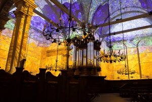 Amsterdam: Van Gogh & Rembrandt – kiehtova kokemus Sisäänpääsy