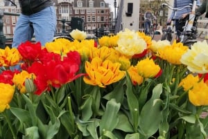 Guided bike tour of Amsterdam in French