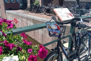 Guided bike tour of Amsterdam in French