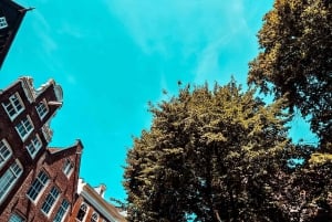 Guided bike tour of Amsterdam in French