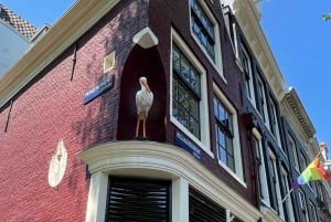 Guided bike tour of Amsterdam in French