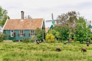 Zaanse Schans, Volendam & Edam Live Guided Tour