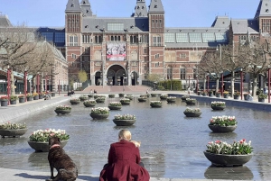 Amsterdam Walking Tour and Canal Cruise