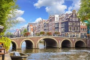 Amsterdam in 1 Day: Walking Tour with Digital Guide