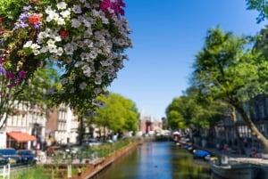 Amsterdam Walking Tour with Cheese Tasting