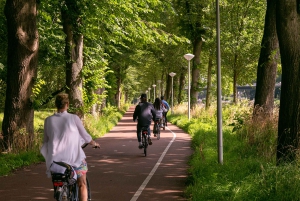 Amsterdam: Windmill, Cheese, and Countryside E-Bike Tour