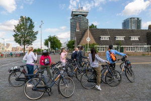 Amsterdam: Windmill, Cheese, and Countryside E-Bike Tour