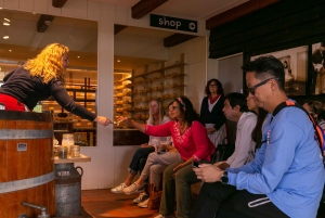 Amsterdam: Windmill, Cheese, and Countryside E-Bike Tour