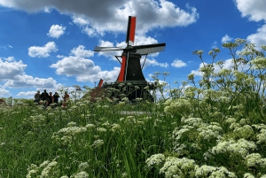 Amsterdam: Windmill, Cheese, and Countryside E-Bike Tour