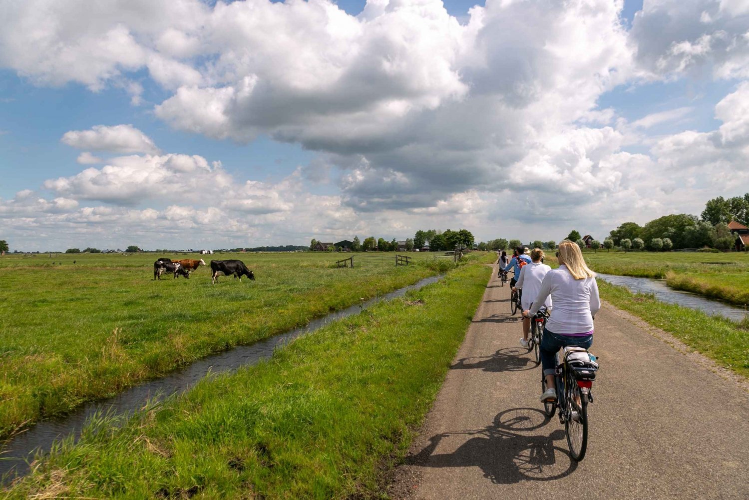 Amsterdam: Excursión en bici por el campo con molinos de viento, queso y zuecos