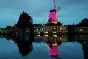 Amsterdam: Windmill Guided Tour