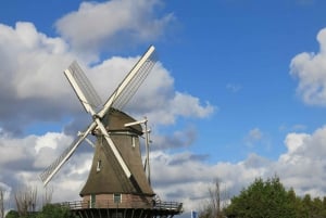 Amsterdam: Windmill Guided Tour