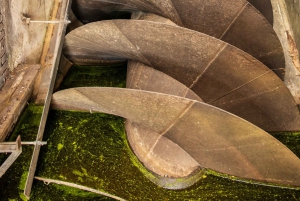 Амстердам: экскурсия по ветряной мельнице