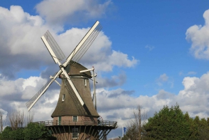 Амстердам: экскурсия по ветряной мельнице