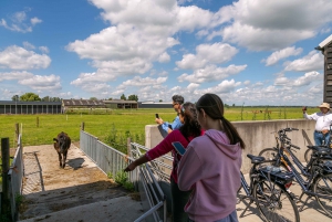 Amsterdam: Windmill, Cheese & Clogs Countryside E-Bike Tour