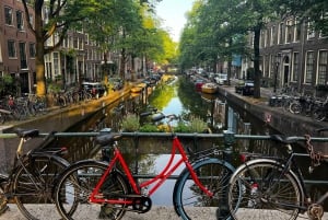 Amsterdam: Small Group Walking Tour with Fun Guide