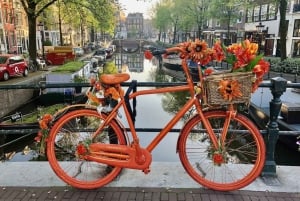 Amsterdam: Small Group Walking Tour with Fun Guide