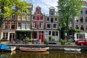 Amsterdam: Small Group Walking Tour with Fun Guide