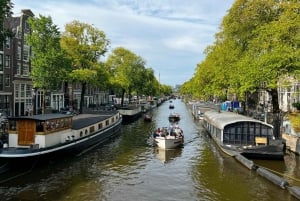 Amsterdam: Small Group Walking Tour with Fun Guide