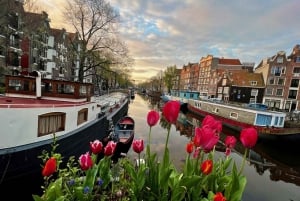 Amsterdam: Small Group Walking Tour with Fun Guide