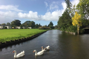 Amsterdam: Schans ja Giethoorn -päiväretki risteilyllä.