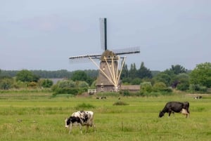 Amsterdam: Zaanse Schans, juustokauppa ja Volendam-kierros