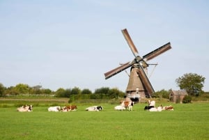 Amsterdam: Zaanse Schans, juustokauppa ja Volendam-kierros