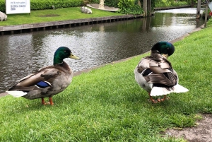 Amsterdam: Zaanse Schans und Giethoorn Geführte Kombi-Tour